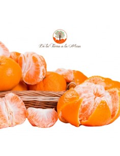 Mandarinas Clementinas 2