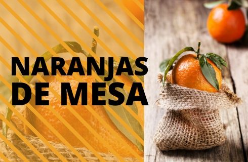 Comprar Naranjas para Zumo Online de Valencia