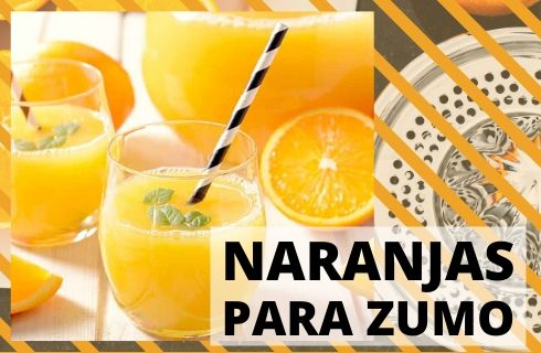 Comprar al mejor precio naranjas para Zumo y desayuno